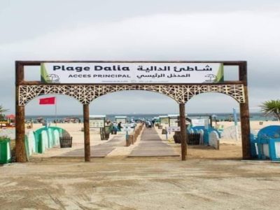 شاطئ دالية يحصل على اللواء الأزرق تقديراً لجودة خدماته البيئية