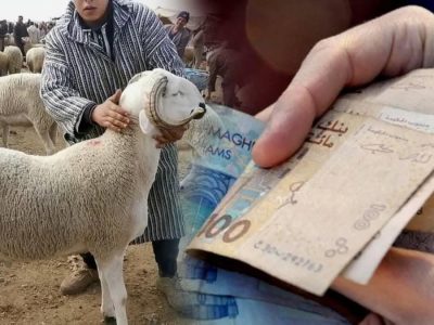 حماة المستهلك: تجار الأزمات يتربصون بأسواق الأضاحي ويجب ضبط الأسعار