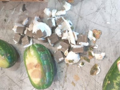 إحباط تهريب 350 كغ من المخدرات بميناء طنجة المتوسط