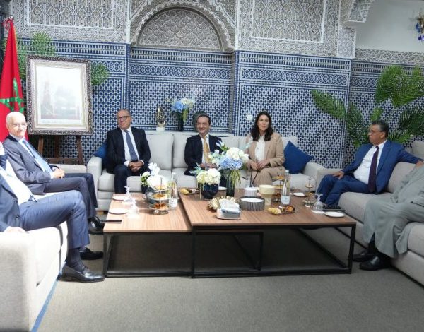 بعد تعيينها رئيسة للحكومة.. المنصوري تبدأ مشاورات تشكيل الأغلبية