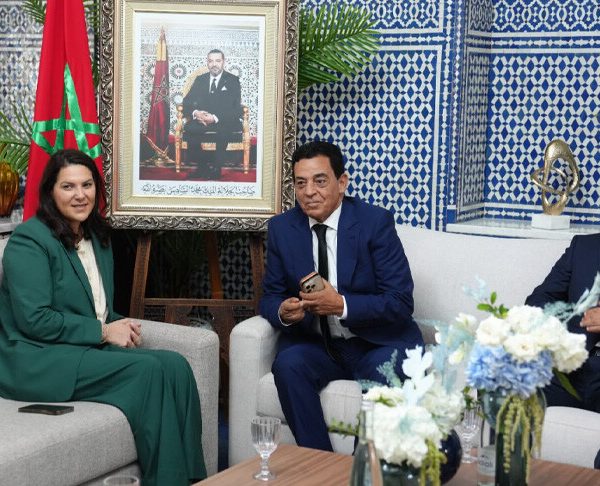 مشاورات تشكيل الحكومة تتواصل.. المنصوري تكثف لقاءاتها مع الأحزاب